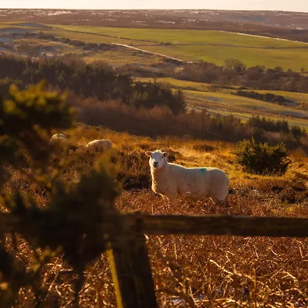 펜션 Moorsholm View