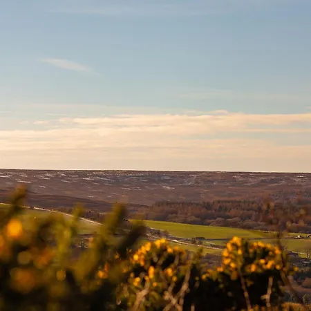 Moorsholm View * 솔트번바이더씨