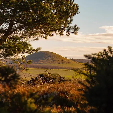 펜션 Moorsholm View